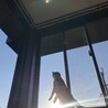 たみーたみー