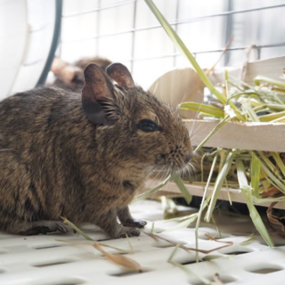 喧嘩してゲージを分けた為…