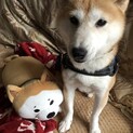 マイペースおばあちゃん♪ムギちゃん