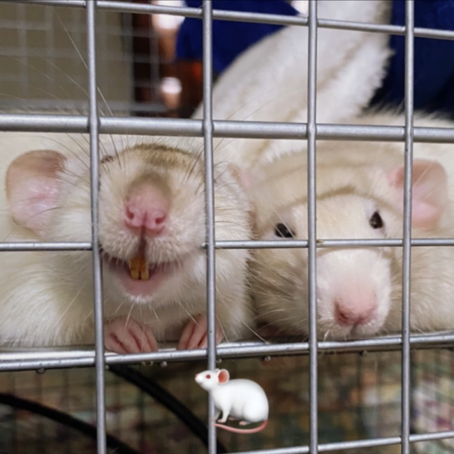 kuma58のカバー写真