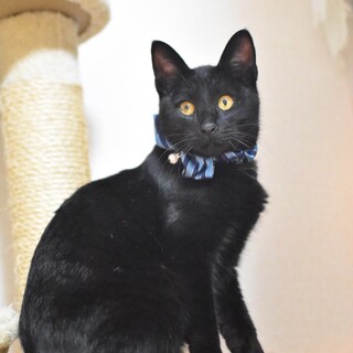 人が大好きバッテリーくん