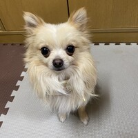 小吉