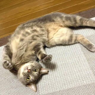 【2/20東日本橋】優しい王子♡れむくん