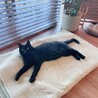 おっきくなりました！
