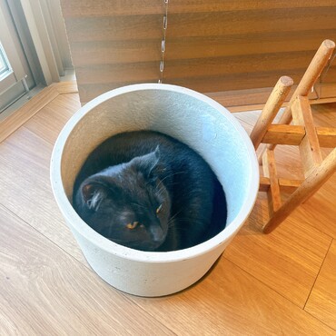 植木鉢にすっぽり