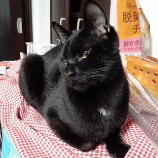 見た目からは想像できない甘々ベタベタ君