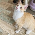 可愛いわんぱく男子❤️タンタン