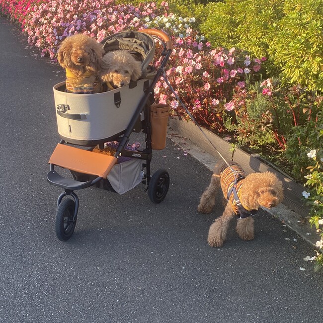 m.l.e familyのカバー写真