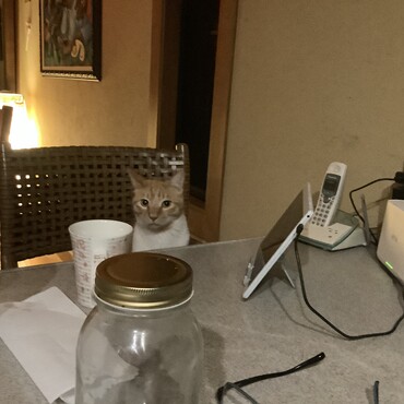 の写真