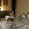 の写真