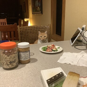 の写真