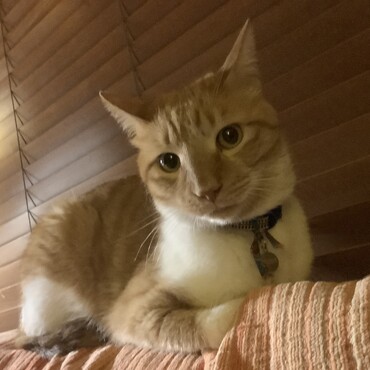 の写真