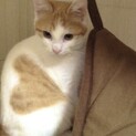 家族が決まりました☺︎