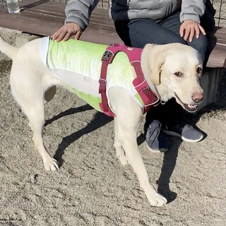 応募が多数の為一時停止します★