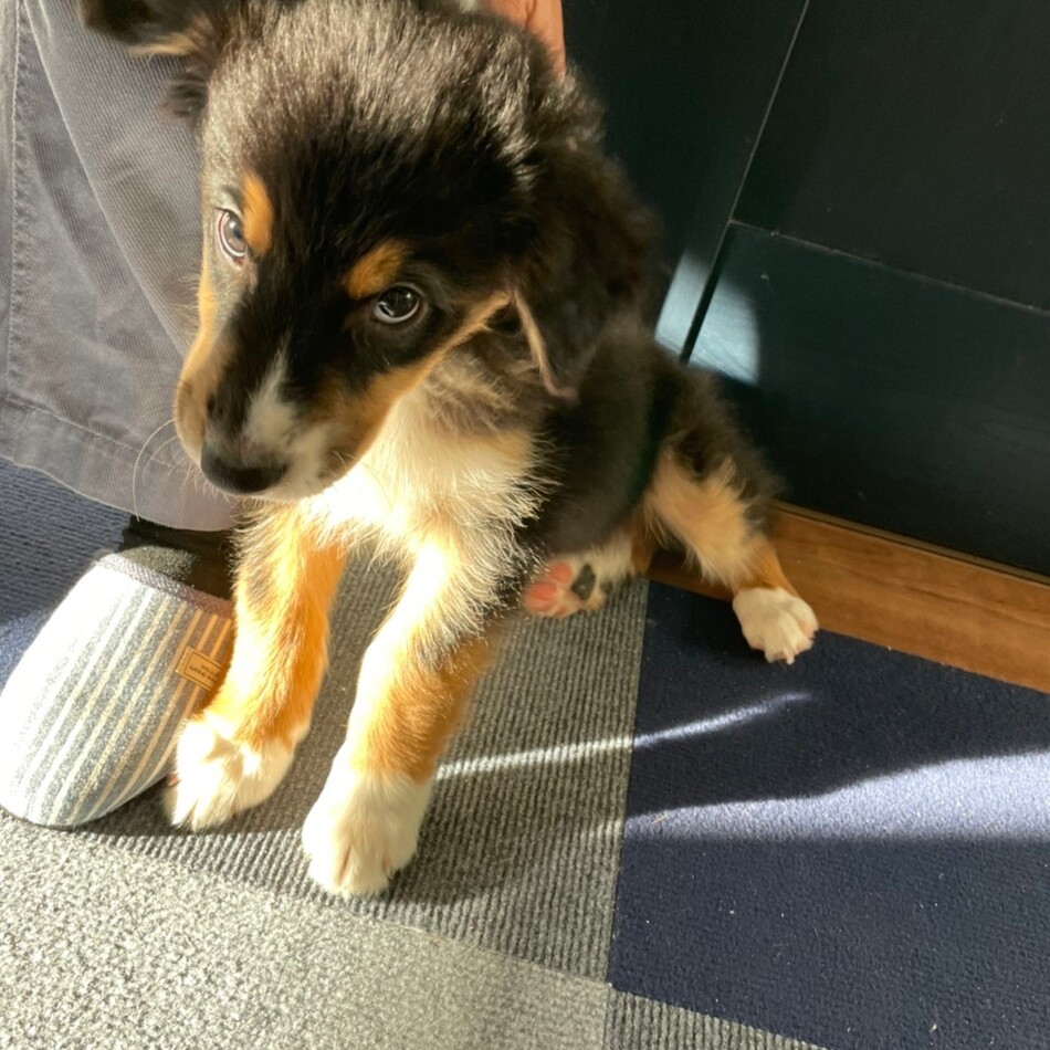 なるとのカバー写真