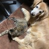すけろぐ