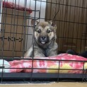 募集停止我こそは！という方いらっしゃいませんか？