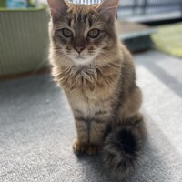 メルちゃん