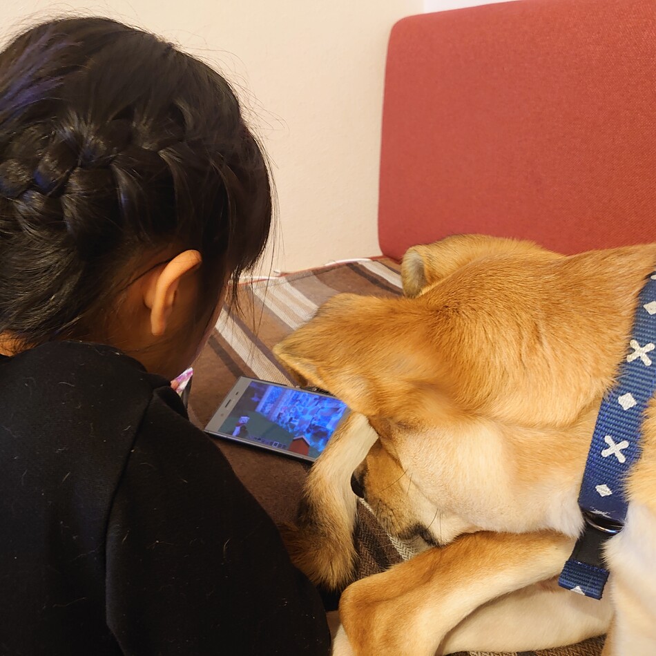 ジンのカバー写真