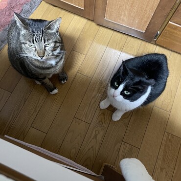 地震？？ベルクにーちゃん大丈夫かな？