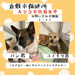 「2022年2月17日の倉敷→全頭譲渡決定！」サムネイル2