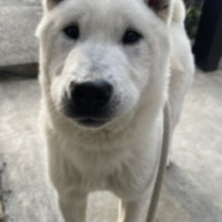 生後4ヶ月のおっとりした男の子