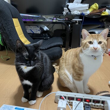 の写真