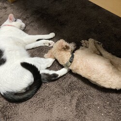マギーさん、母ちゃんは早く帰りたい（笑）