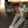 ムーサンママさん