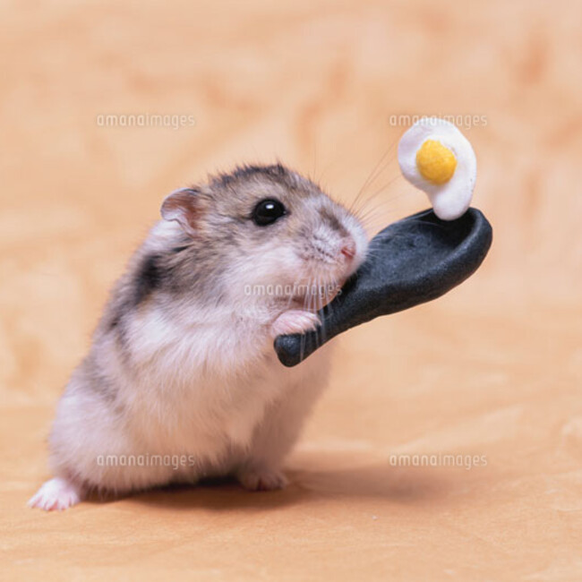 ミゾマサのカバー写真