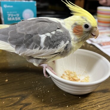 の写真