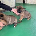 ありがとうございました！
