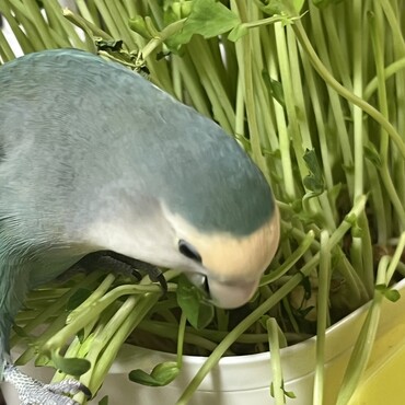 の写真