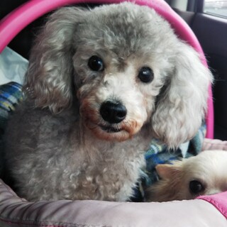 素敵なご縁を頂きました☺️