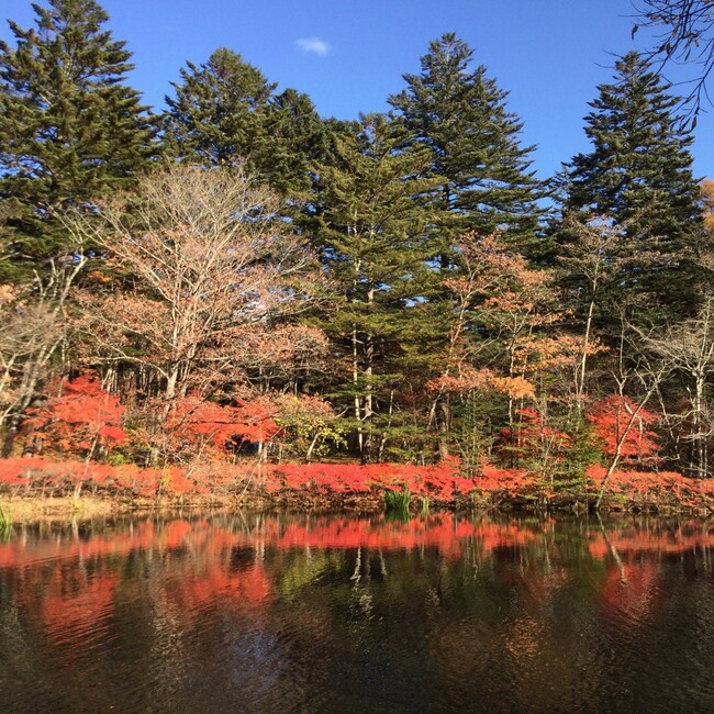 yyokote6970のカバー写真