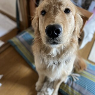 募集一時停止します。