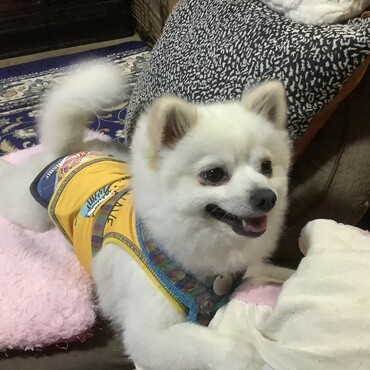 の写真