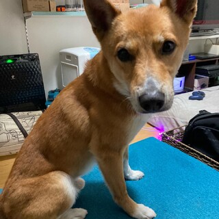受付終了しました。