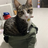 凛ちゃん