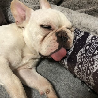 応募多数により一時的に締切ます。