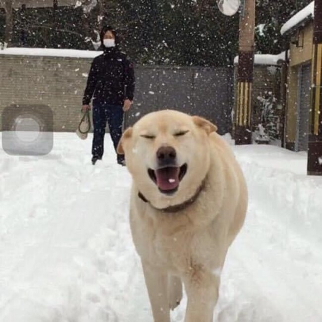 Saga jujuのカバー写真