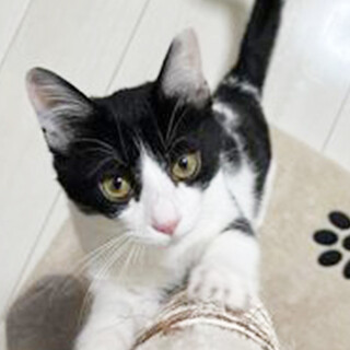 ★ナレナレベタベタ湘南ボーイ★コジロー君★