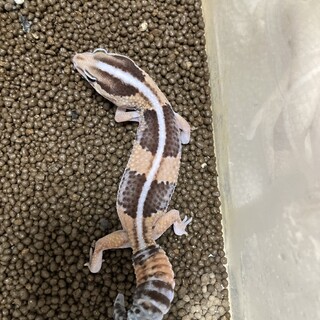 応募者多数のため一度締め切ります