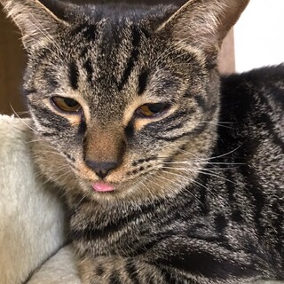 「面談予定」ストーカー「ブルーベリー」くん❤