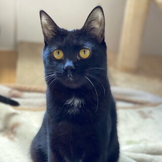 「面談予定」アイコンタクト「ラパン」ちゃん❤