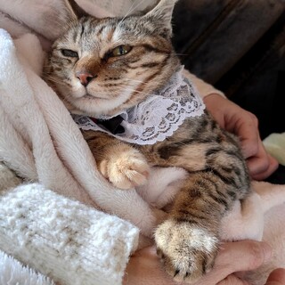 とっても可愛いかしこい子♡