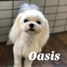 の写真