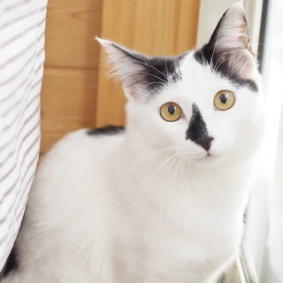 元気なハナちゃん☆