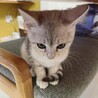 の写真