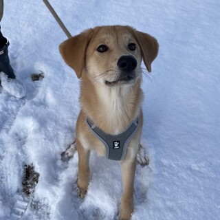 すくすく成長中の兄弟① たいしょうくん！